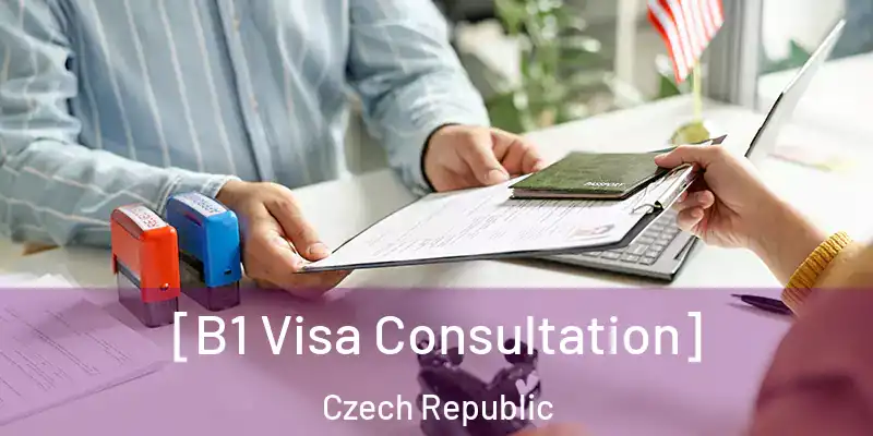  [B1 Visa Consultation] Czech Republic